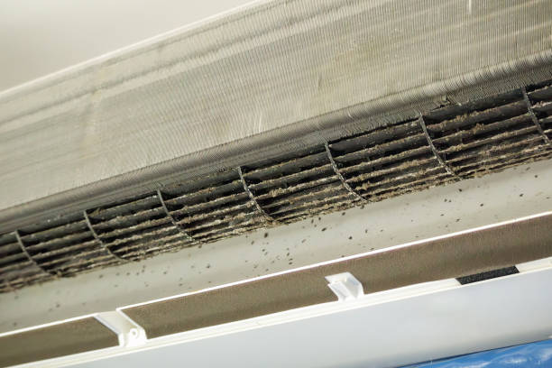Best Affordable HVAC Duct Cleaning  in Trappe, PA